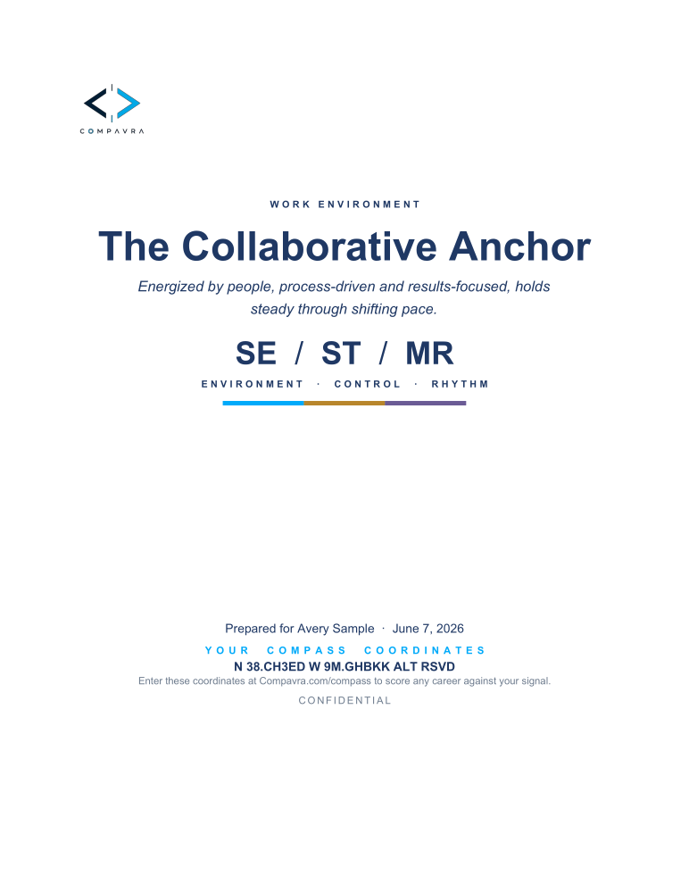 Environment sample report cover: The Collaborative Anchor